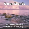 Relaxing Sounds、Ocean Sounds、Nature Sounds - Ocean Sounds for Moms