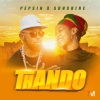 Pepsin、Sunshine《Thando》[MP3/LRC]