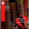 Pete Petrishchev - Tribal Groovy Didgeridoo