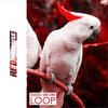 Loop - Gucci On Like (Original Mix)