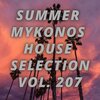 Baz Oz - Talk to You Later (Oz Wizard Mix)