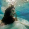 Alpha Violet - Alexander