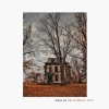 Adam Lee - The Wilderness Years
