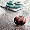 Companions、Doctors - Hold Night
