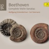 wolfgang schneiderhan、carl seemann - I. Allegro con brio