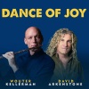 Wouter Kellerman、David Arkenstone - Dance of Joy