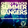micky modelle、Friday Night Posse、simone denny、Brixxtone - You're A Superstar (Brixxtone Radio Edit)