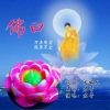 应丽琴、君哥 - 佛曰