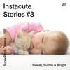 Randy McGravey、Brian McGravey - Sunny Islands