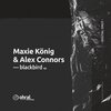 Maxie König、Alex Connors - Blackbird (Ohral Extended Dub)