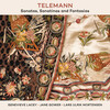 Lars Ulrik Mortensen、Jane Gower、Genevieve Lacey - Telemann: Sonata in C Major for Recorder & Basso Continuo, TWV 41:C5 - 1. Adagio - Allegro - Adagio - Allegro