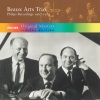 beaux arts trio - Mendelssohn: Piano Trio No. 1 in D Minor, Op. 49, MWV Q29: 1. Molto allegro ed agitato (D小调第1号钢琴三重奏，作品49 - 第一乐章 很快的快板且激动的)
