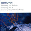 Tasmanian Symphony Orchestra、David Porcelijn - 1. Allegro con brio