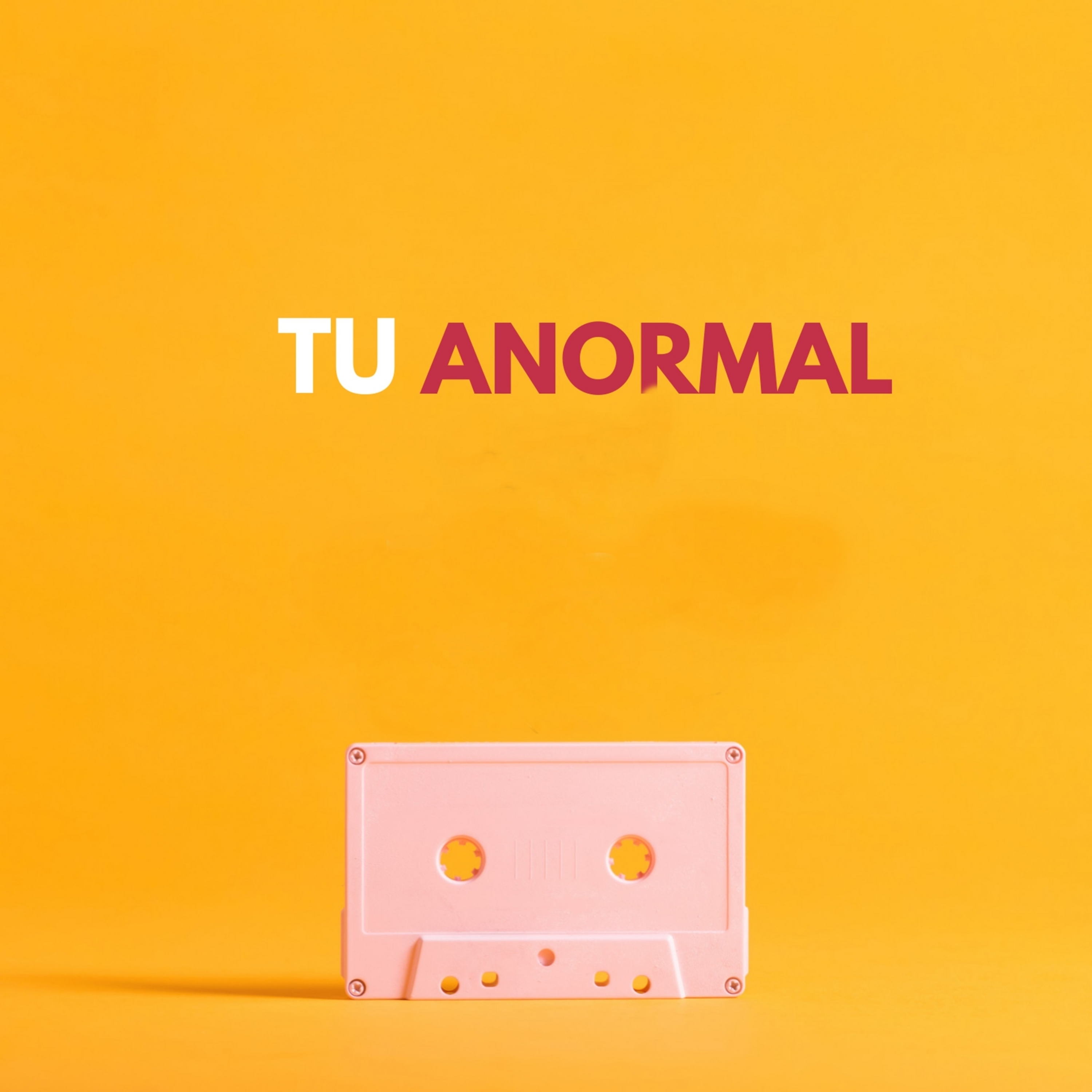 tu anormal - Numero 1