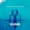 Stash Konig、Morgan Harvill - Numb (Explicit)