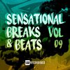 Gosize - Sound Of The Dark (Original Mix)