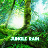 Nature Sound、Rain Power、Weather Storms、Tropical Sounds、Nature Breeze、Nature Essentials、The Nature Sounds、The Sounds of Nature、Outside Sounds - Jungle Rain (feat. Tropical Sounds Nature Breeze Nature Essentials The Nature Sounds The Sounds Of Nature & Outside Sounds)