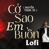 Nguyễn Trọng Tài、Freak D - Cớ Sao Em Buồn (LofiFreakDRemix)