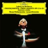 Leonard Bernstein、Wiener Philharmoniker《1. Adagio, ma non troppo e molto espressivo (Live)》[MP3/LRC]