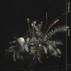 Isak Danielson - Snowman
