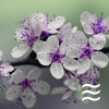 Clouds Pure Dream - Restful Sober Noisy Nature Tone