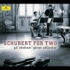 gil shaham、Göran Söllscher - I. Allegro molto