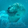 Davor Bozic、Lee Harris - I Am Peace