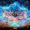 Dj Mel Rose - From The Inside (Original Mix)
