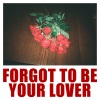 Vargas & Lagola《Forgot To Be Your Lover》[MP3/LRC]