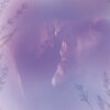 Patrícia Leal、Eduardo Taufic - Lavanda