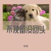 白日梦 - 九千错 (新年贺岁版)