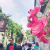 王家恒 - 小镇姑娘