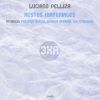 Luciano Pelliza - Restos Materiales