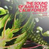 힐링 네이쳐 Nature Sound Band - 잔잔한 숲 속의 빗소리 The sound of rain in the calm forest