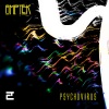 Amptek - Collapse of Reason