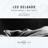 Leo Delgado《Silver Shining》[MP3/LRC]