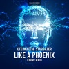 Eternate、Ephoric、Stargazer - Like A Phoenix (Ephoric Remix)