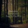 Relajación Meditar Academie、Canciones De Cuna Para Dormir Bebes、Dormir - Canciones Calmantes Para El Alma