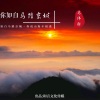 马伟轩 - 你是葬了我的坟