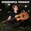 Alexandr Misko - Wonderful Tonight