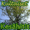 Tea - Tytöt Tykkää