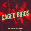 Phoenyx、Dope Soul Love、Bri - Caged Birds (Explicit)