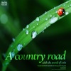 힐링 네이쳐 Nature Sound Band - 빗소리가 들려오는 시골길 A country road with the sound of rain