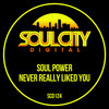 Soul Power - Never Really Liked You (Radio Mix)