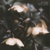 Luis Leon - Understanding of Re