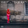 힐링 네이쳐 Nature Sound Band - 그리운 얼굴이 생각나는 빗소리 The sound of rain that reminds me of a longing face
