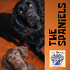 The Spaniels - I Know