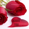 Haxhigeaszy《Adore You》[MP3/LRC]