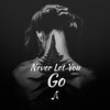 Arteen - Never Let You Go (Explicit)