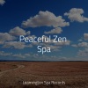 Sleep Sounds Rain、Ambient Nature Project、Sleepy Times - Tranquil Binaural Sounds